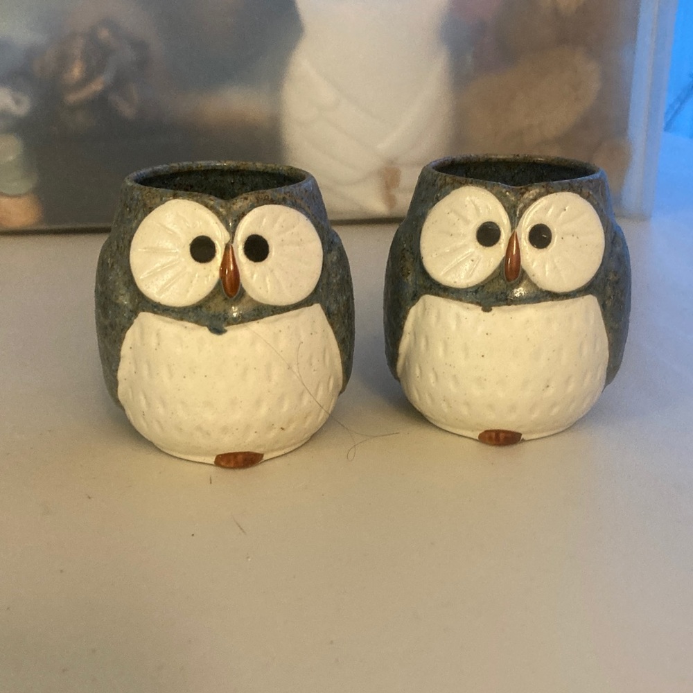 Cute Ceramic Owl Salt and Pepper Shakers - White & Blue